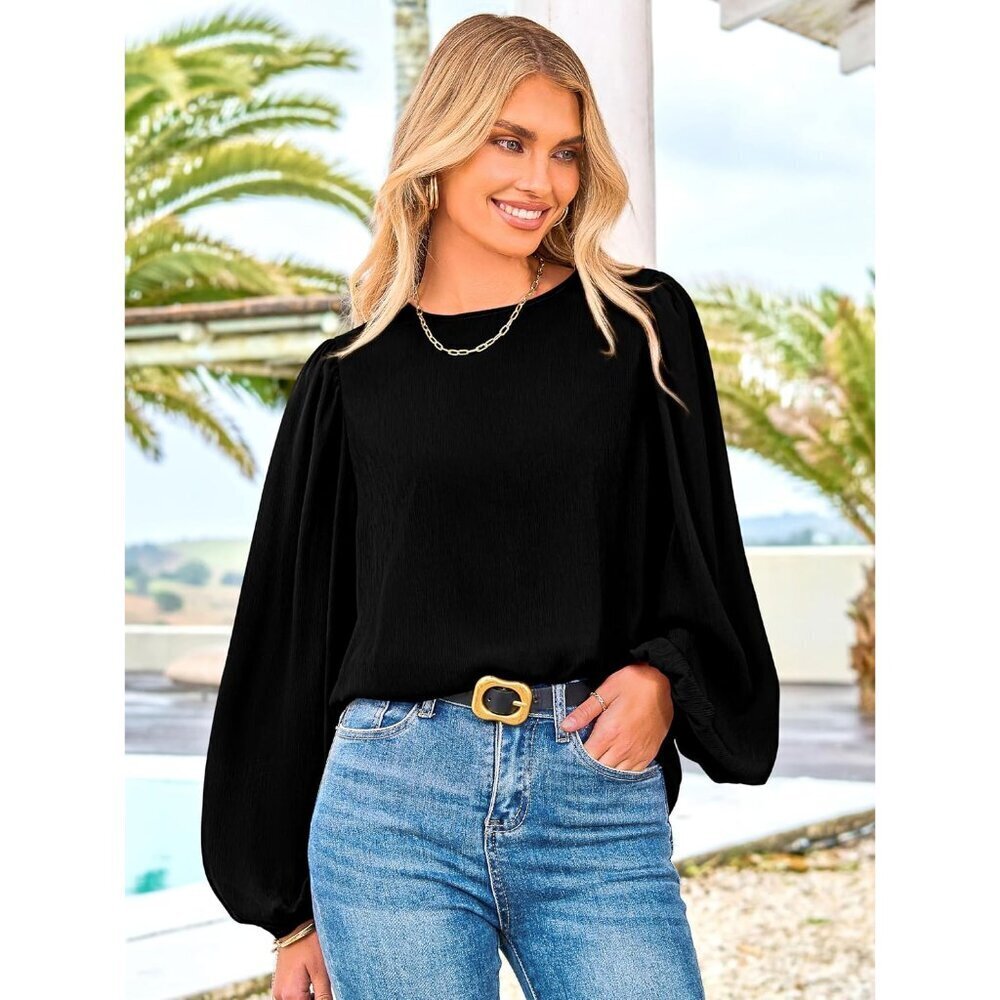 Womens Chiffon Long Sleeve Blouse Crewneck Fall Casual Dressy Office - Picture 2 of 6